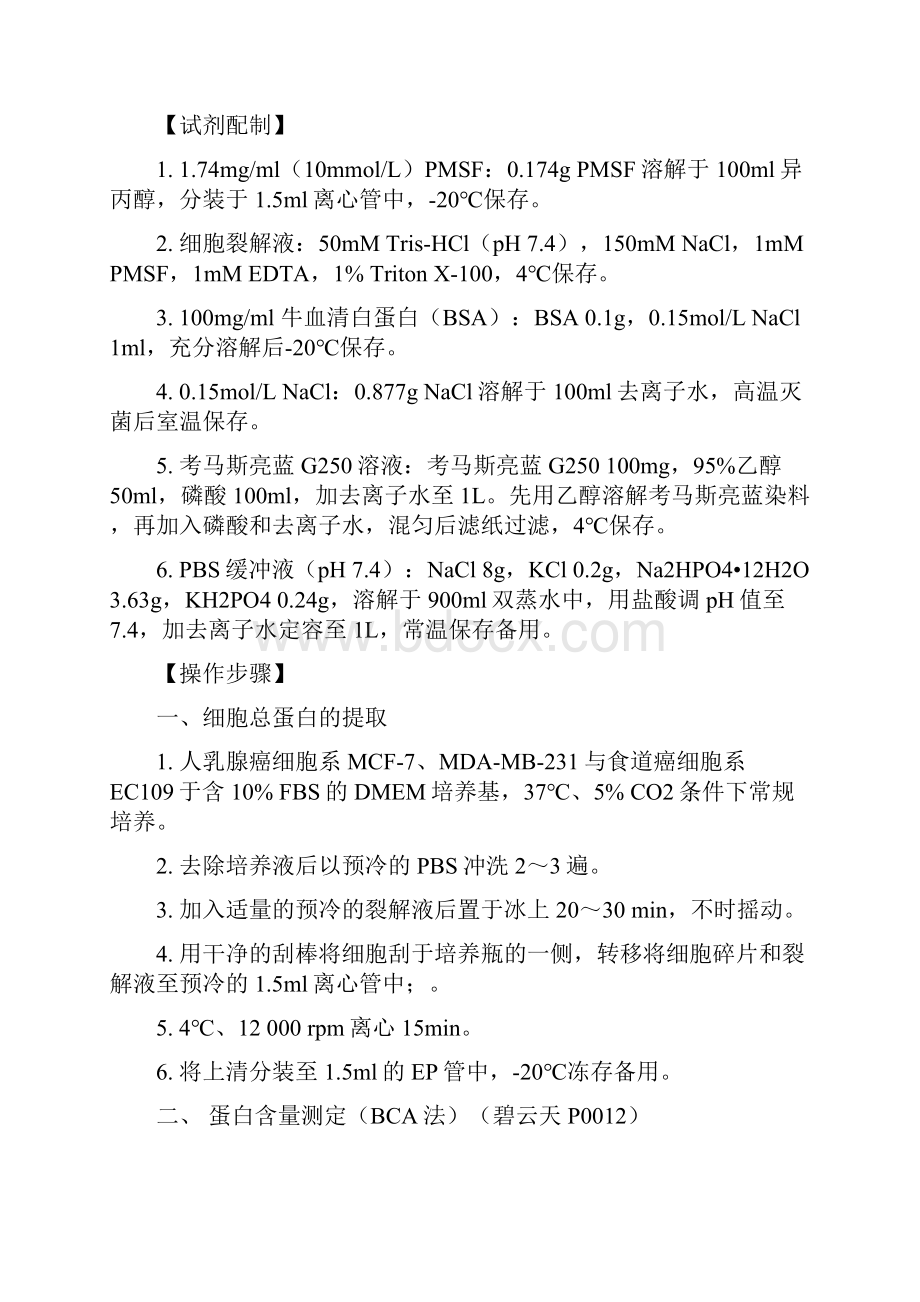 蛋白质的提取与检测.docx_第2页