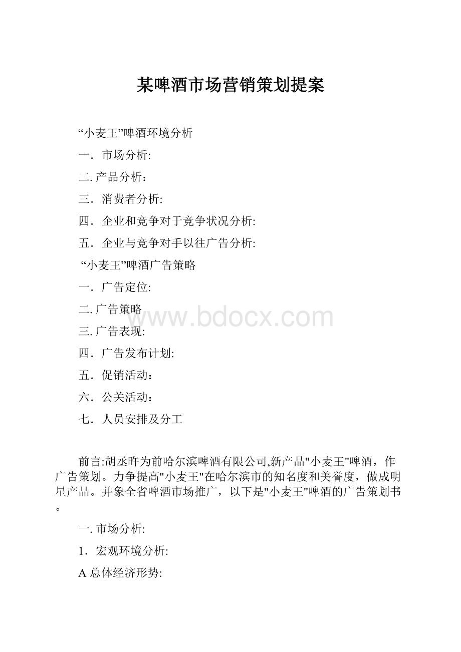 某啤酒市场营销策划提案.docx