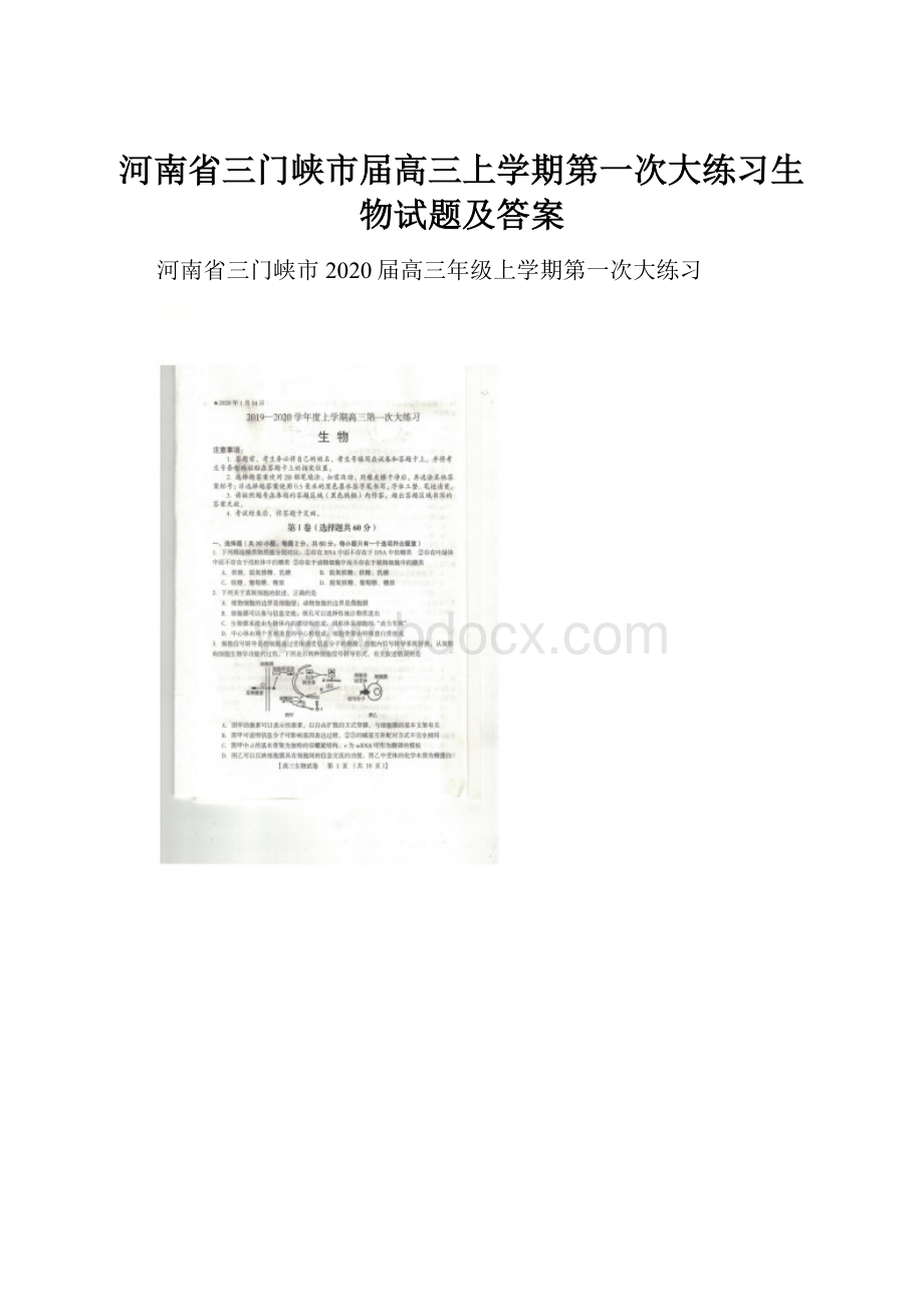 河南省三门峡市届高三上学期第一次大练习生物试题及答案.docx