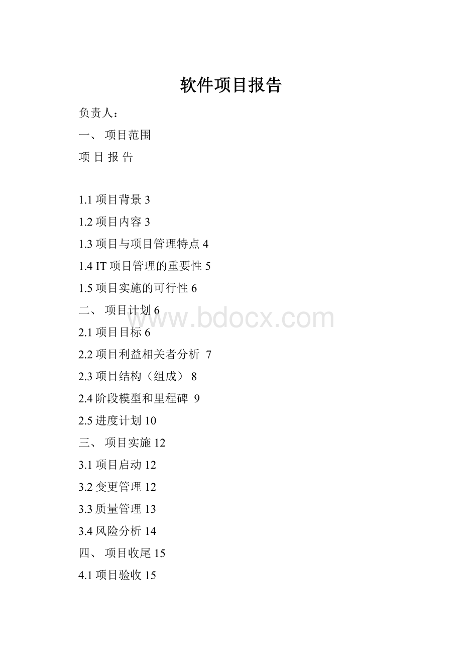 软件项目报告.docx