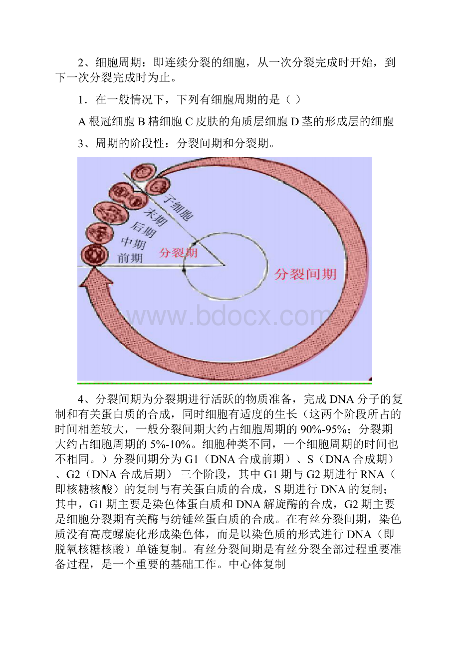 有丝分裂.docx_第2页