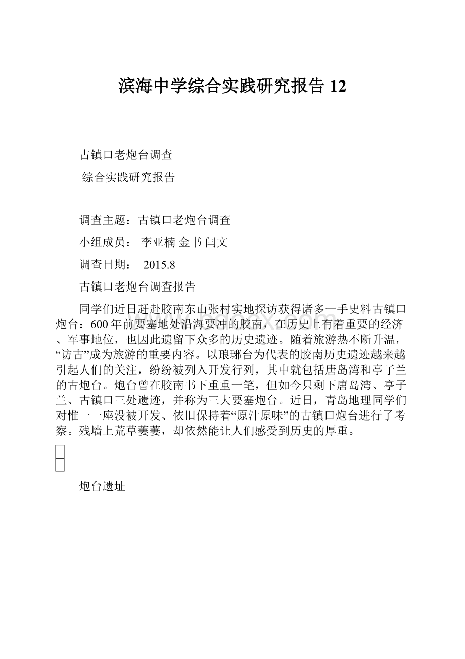 滨海中学综合实践研究报告12.docx_第1页