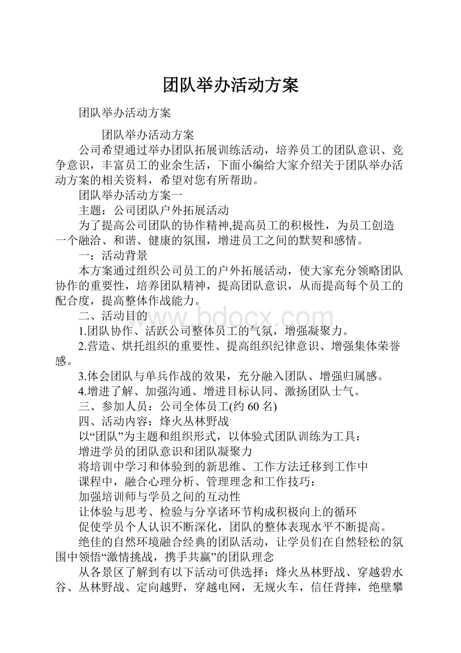 团队举办活动方案.docx