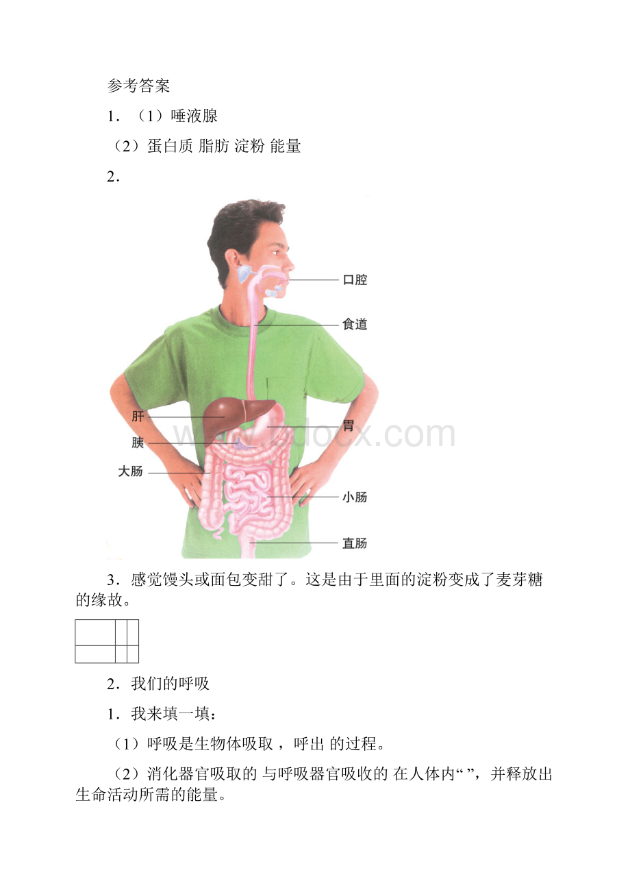 青岛版五年级下册科学练习与习题及答案.docx_第2页