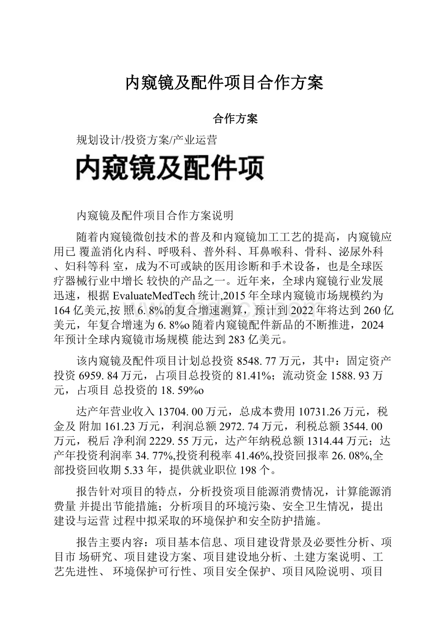 内窥镜及配件项目合作方案.docx