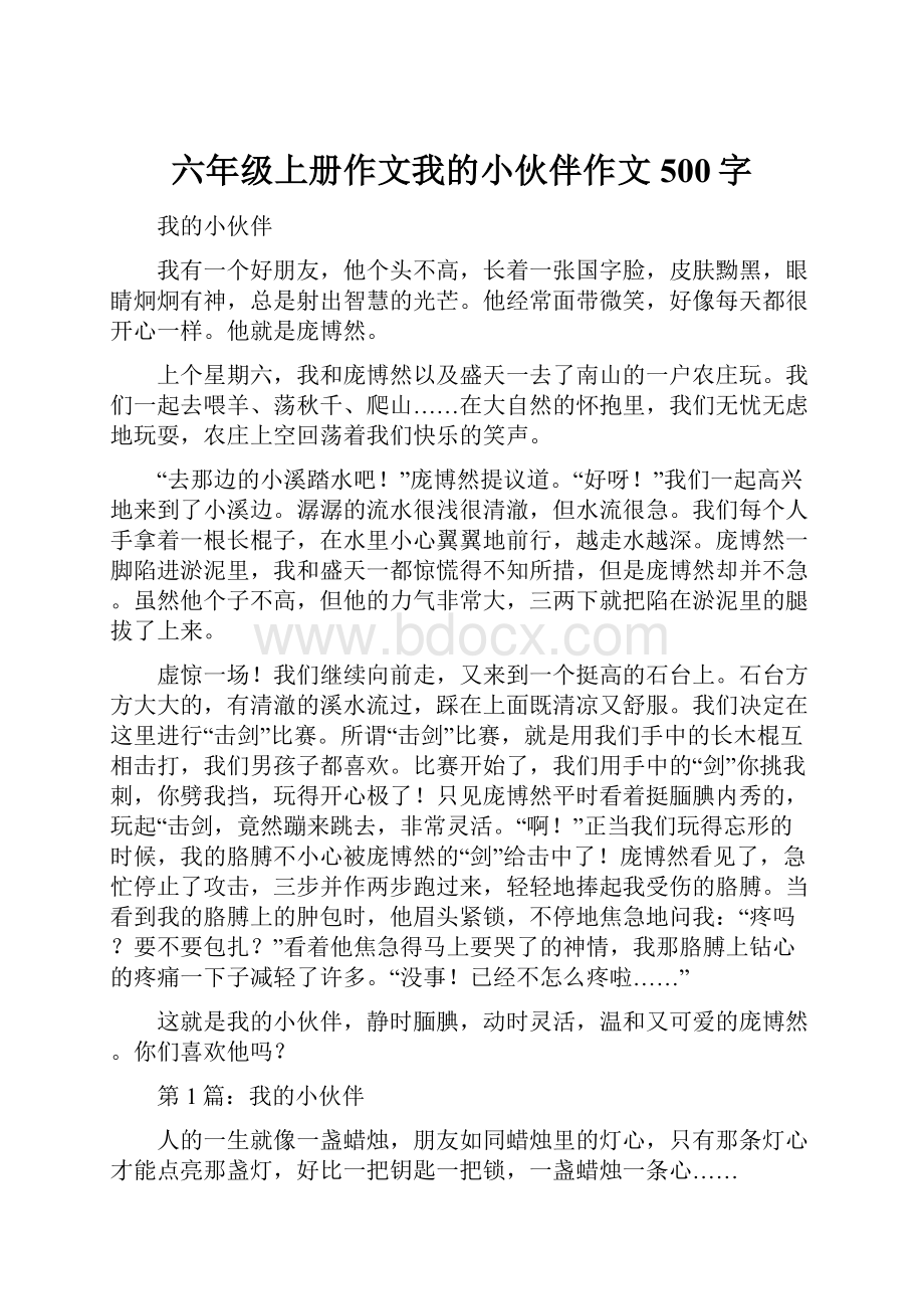 六年级上册作文我的小伙伴作文500字.docx_第1页