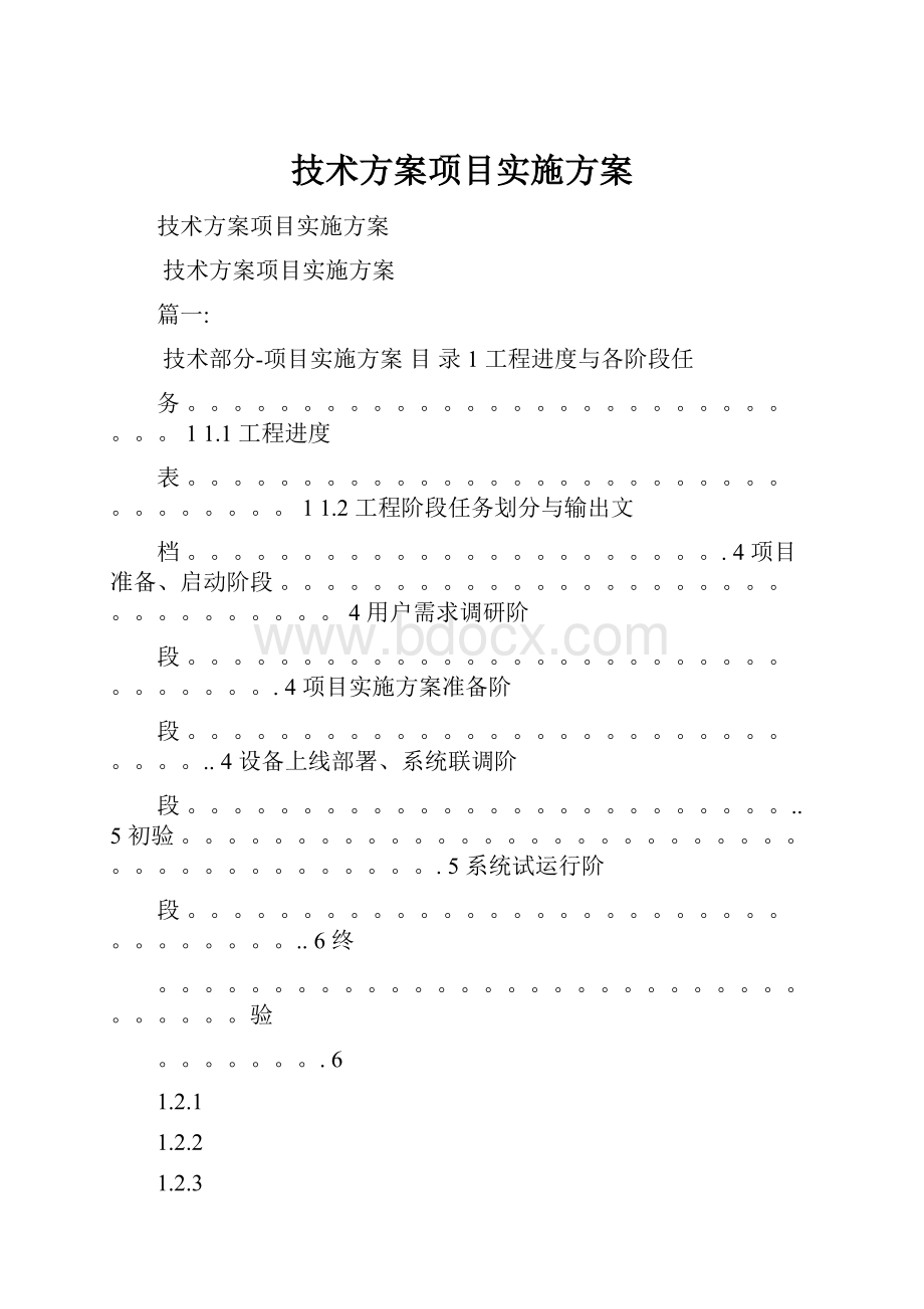 技术方案项目实施方案.docx