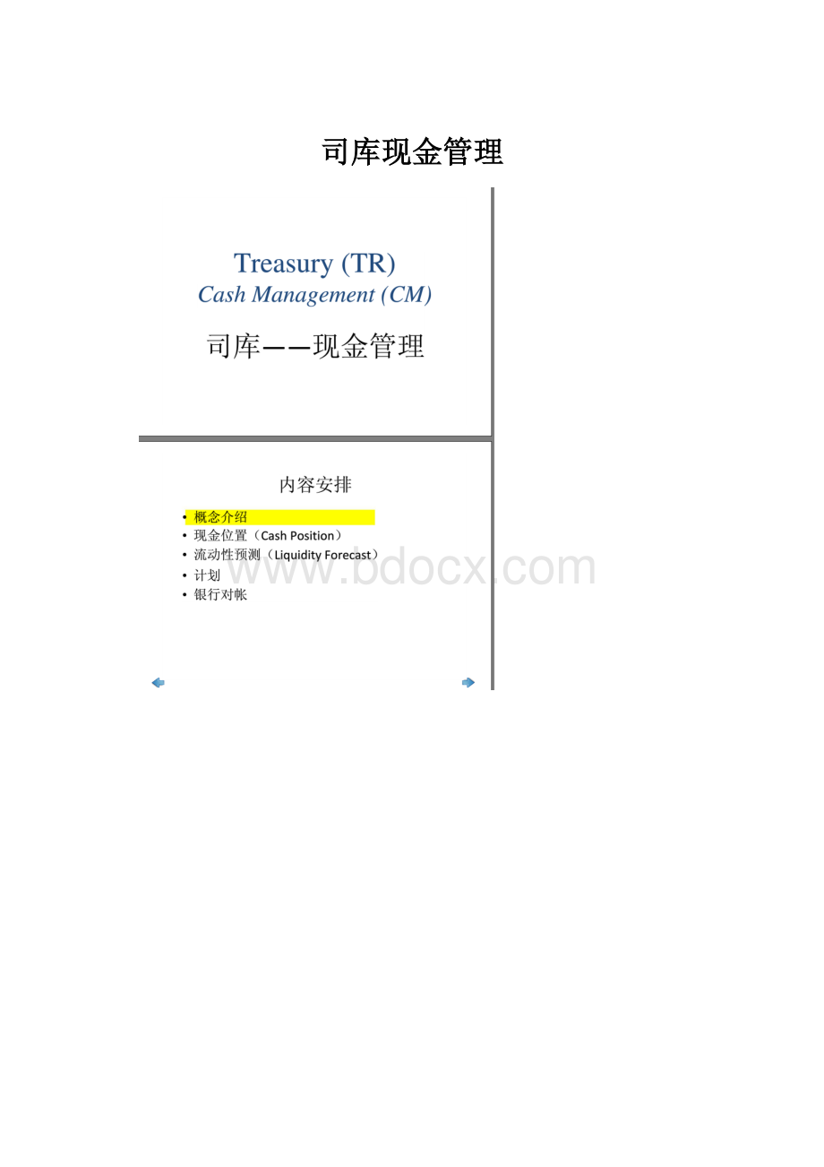 司库现金管理.docx