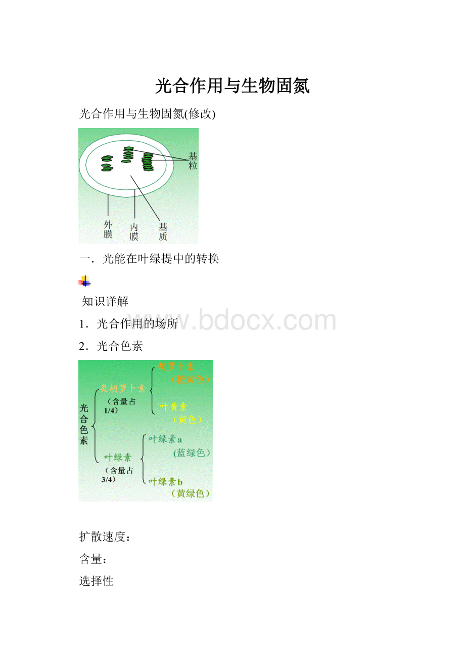 光合作用与生物固氮.docx