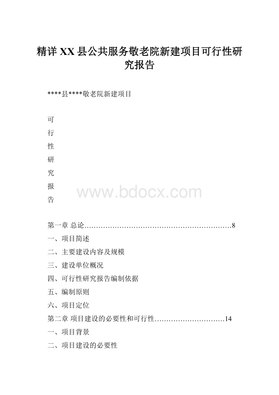 精详XX县公共服务敬老院新建项目可行性研究报告.docx