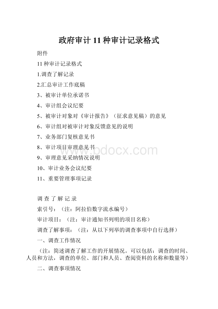 政府审计11种审计记录格式.docx