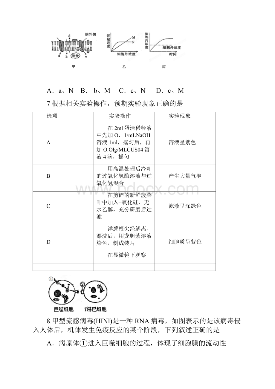 江西省南昌届高三考前训练一生物.docx_第3页