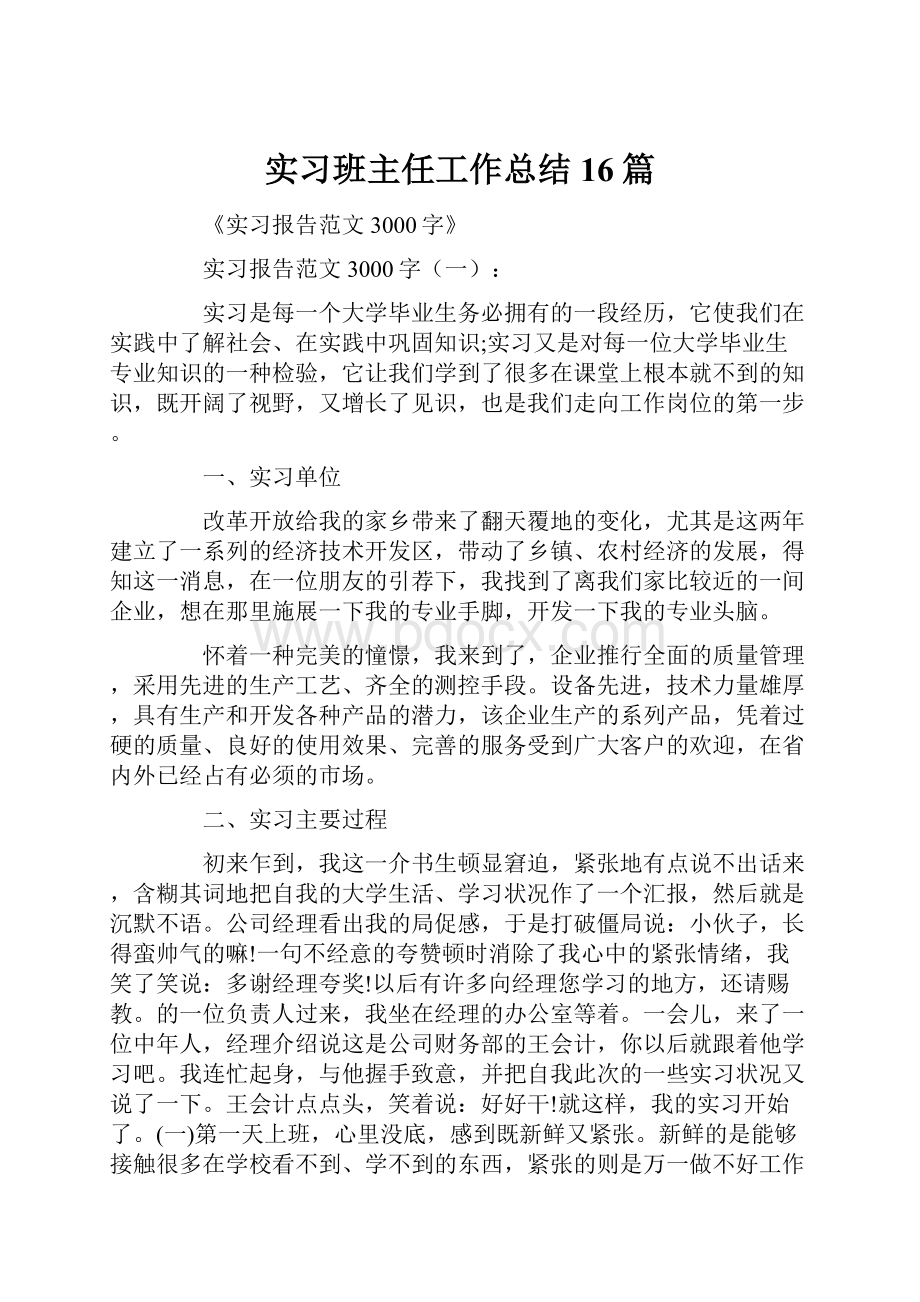 实习班主任工作总结16篇.docx