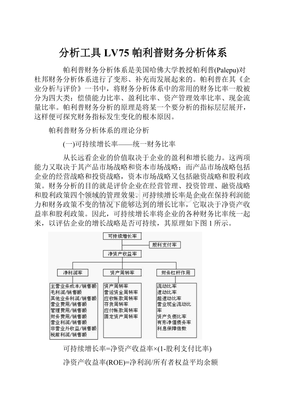 分析工具LV75 帕利普财务分析体系.docx