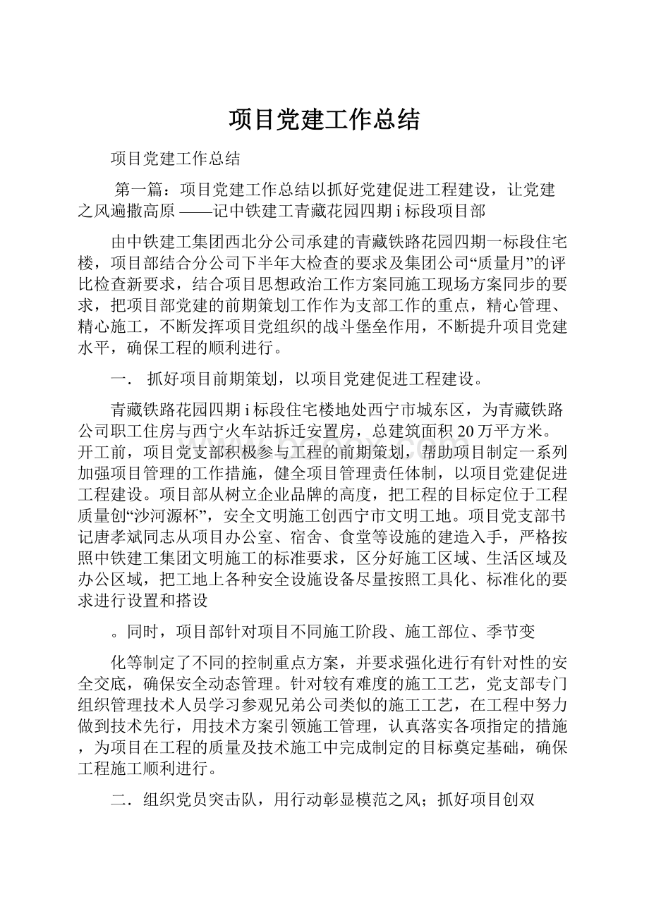 项目党建工作总结.docx_第1页