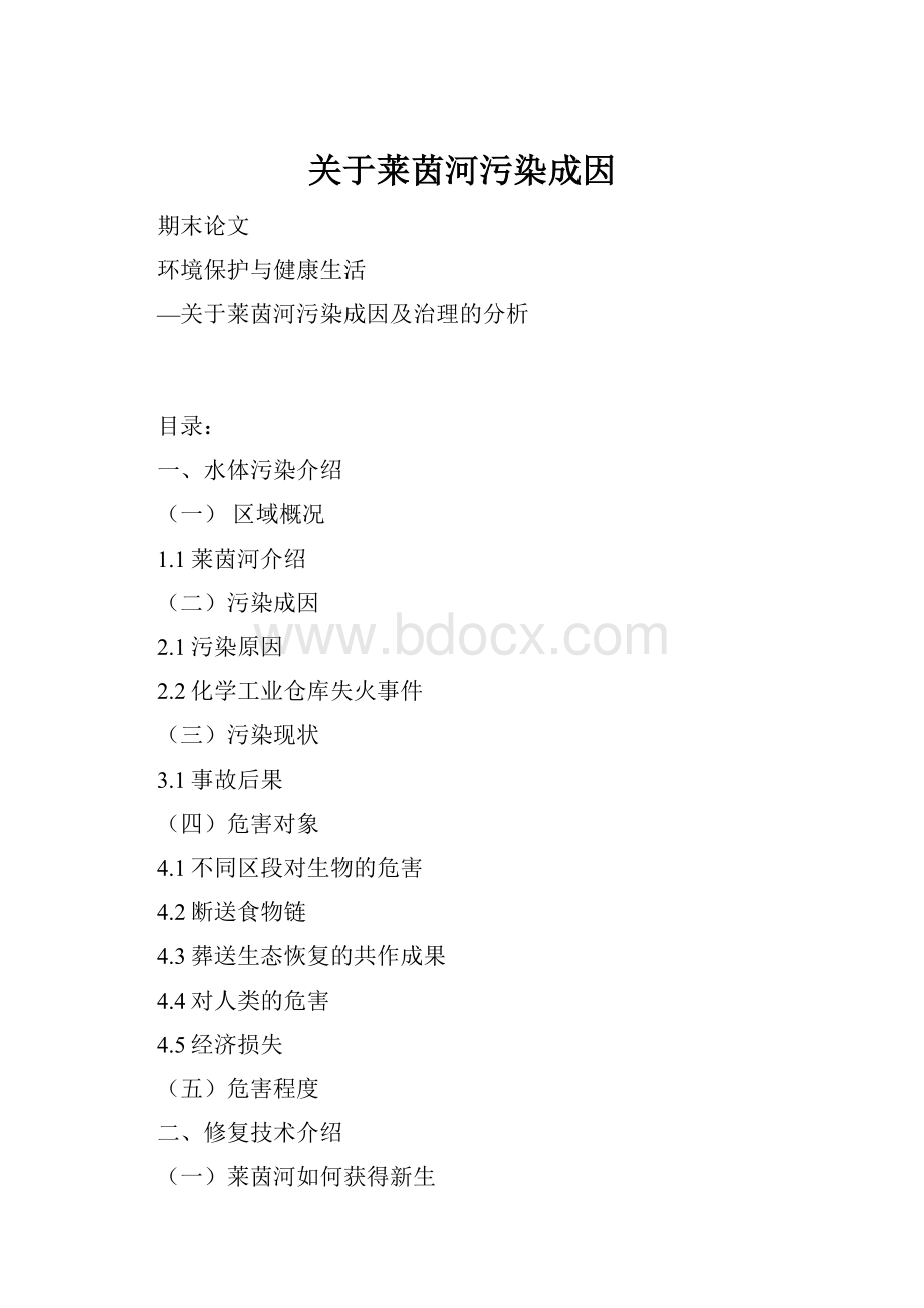 关于莱茵河污染成因.docx