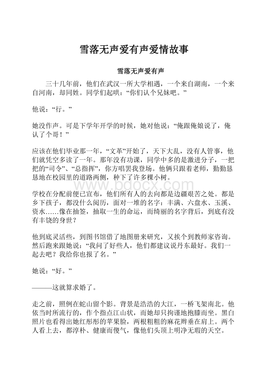 雪落无声爱有声爱情故事.docx