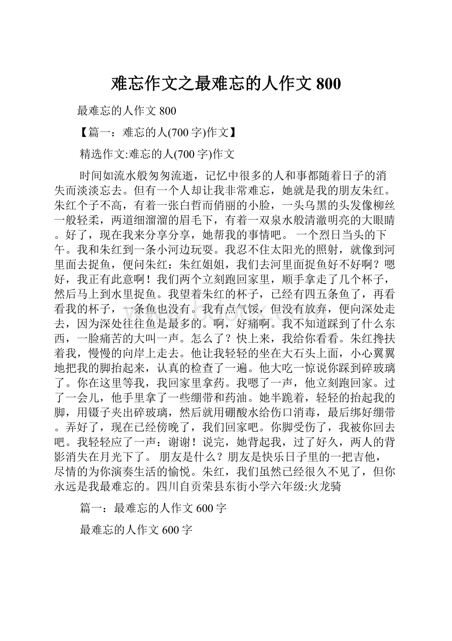 难忘作文之最难忘的人作文800.docx