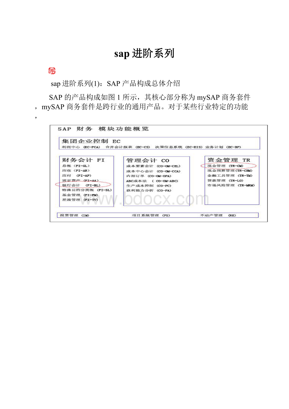 sap进阶系列.docx