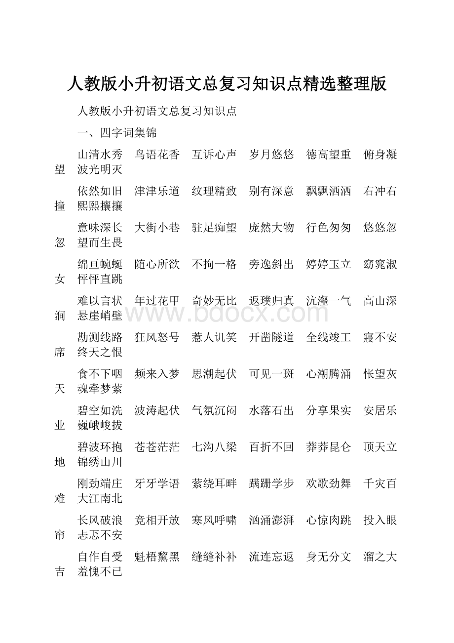 人教版小升初语文总复习知识点精选整理版.docx_第1页