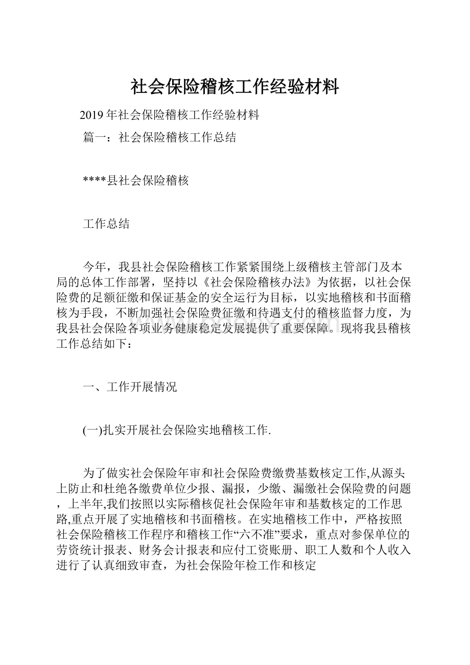 社会保险稽核工作经验材料.docx_第1页