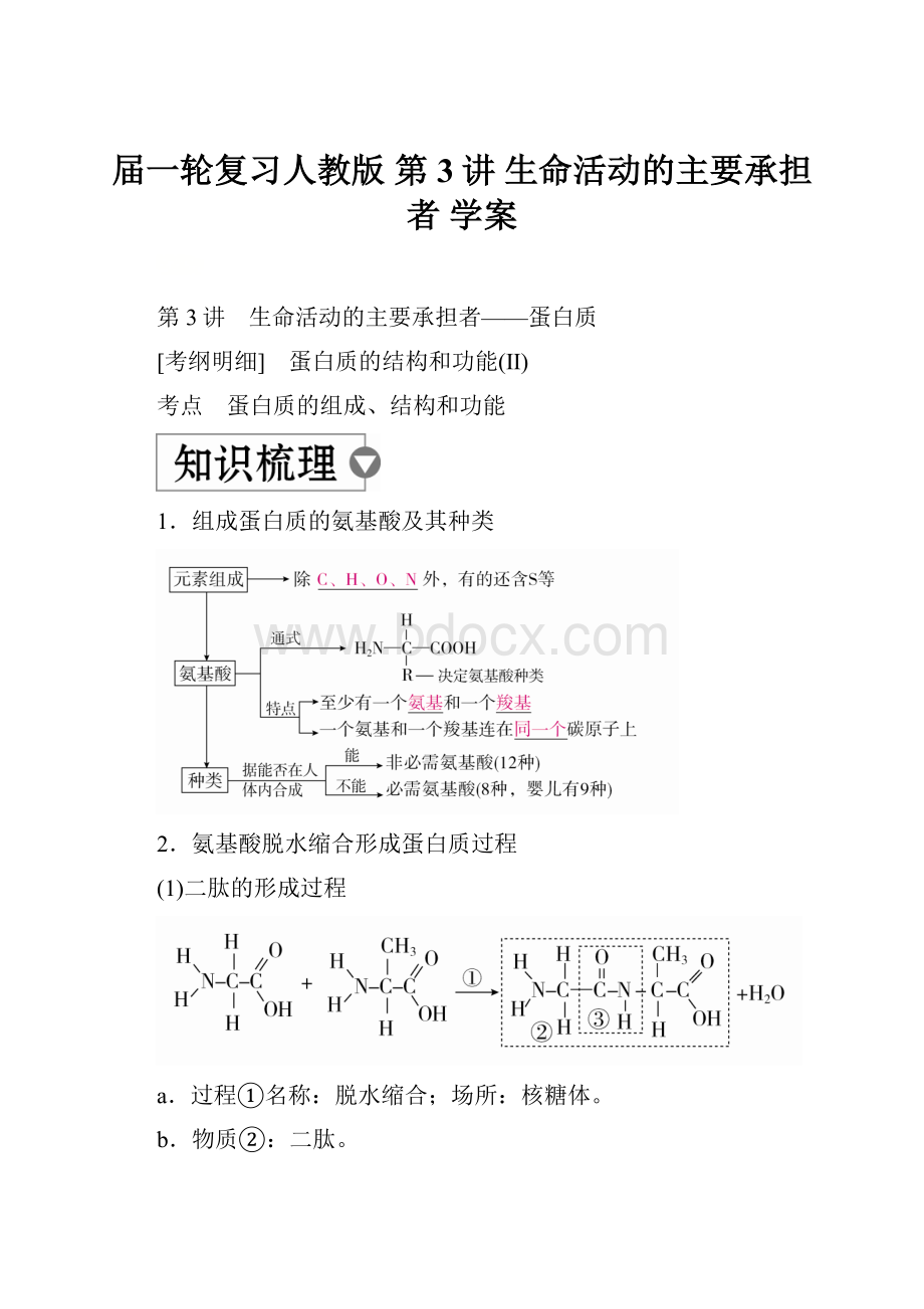 届一轮复习人教版 第3讲 生命活动的主要承担者 学案.docx