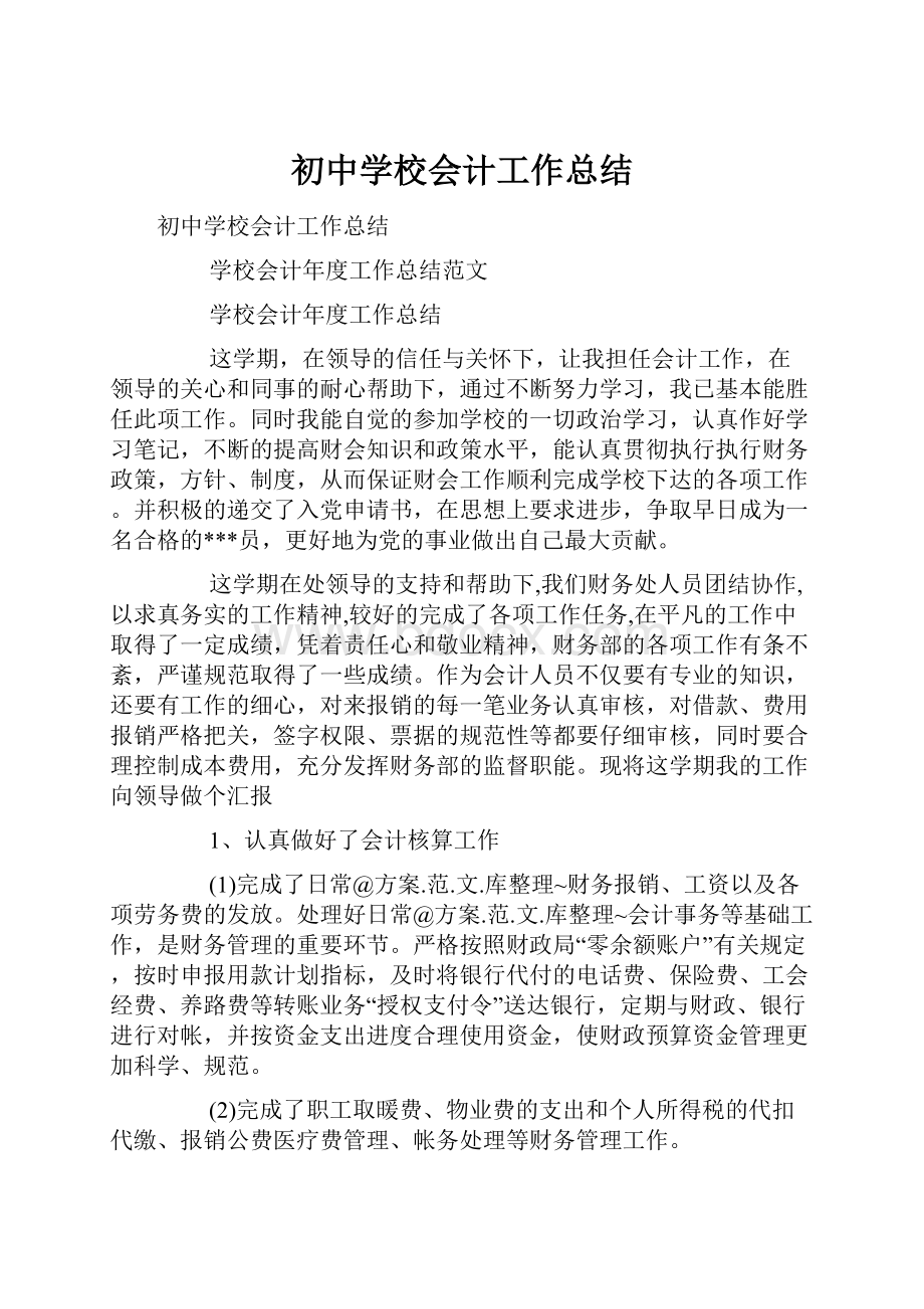 初中学校会计工作总结.docx