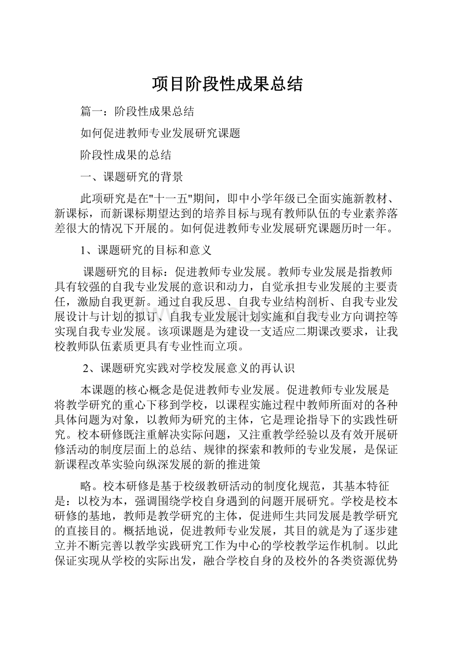 项目阶段性成果总结.docx_第1页