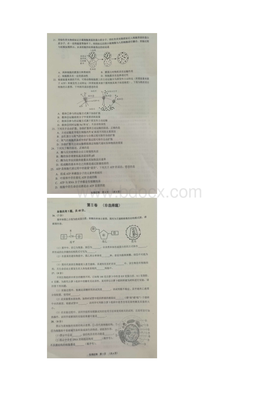 首发河南省八市学评学年高一测评生物试题图片版.docx_第3页