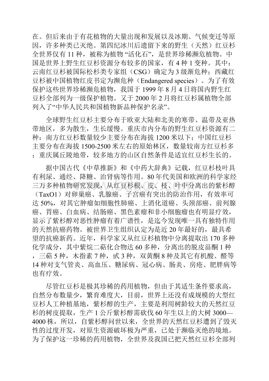 重庆市北碚红豆杉产业化开发建设可行性研究报告.docx_第2页