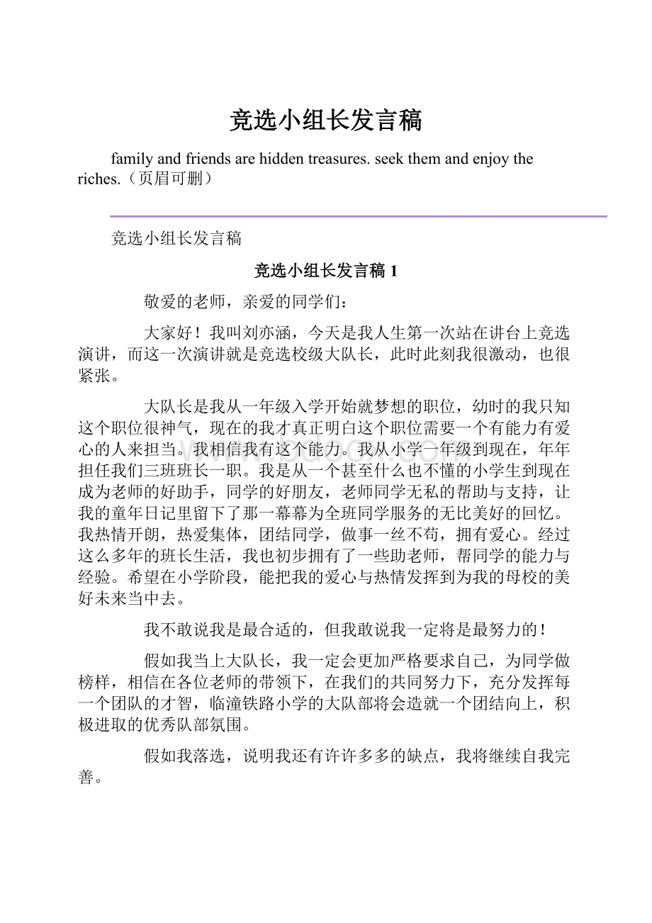 竞选小组长发言稿.docx