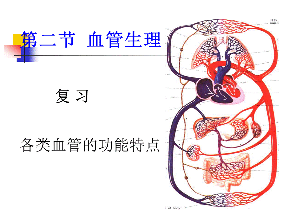 血管生理.ppt