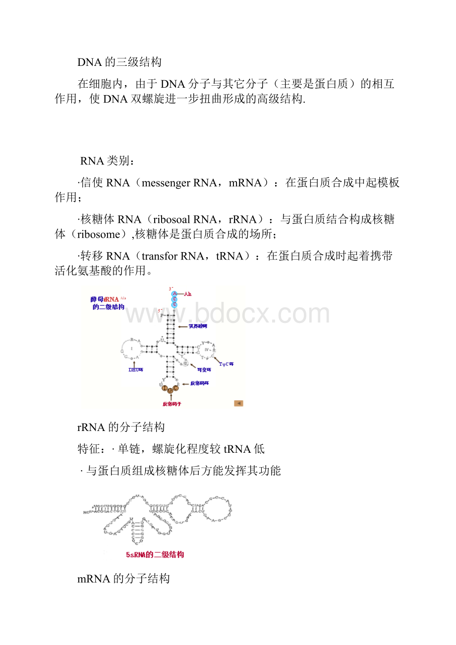 生物化学超详细复习资料图文版资料讲解.docx_第3页