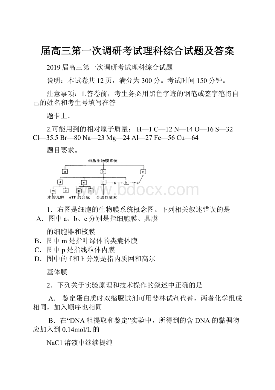 届高三第一次调研考试理科综合试题及答案.docx