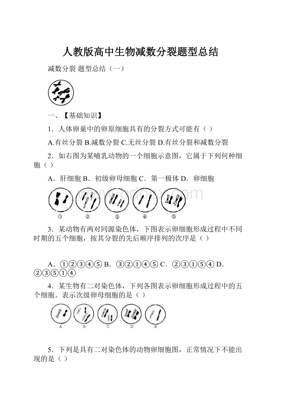 人教版高中生物减数分裂题型总结.docx