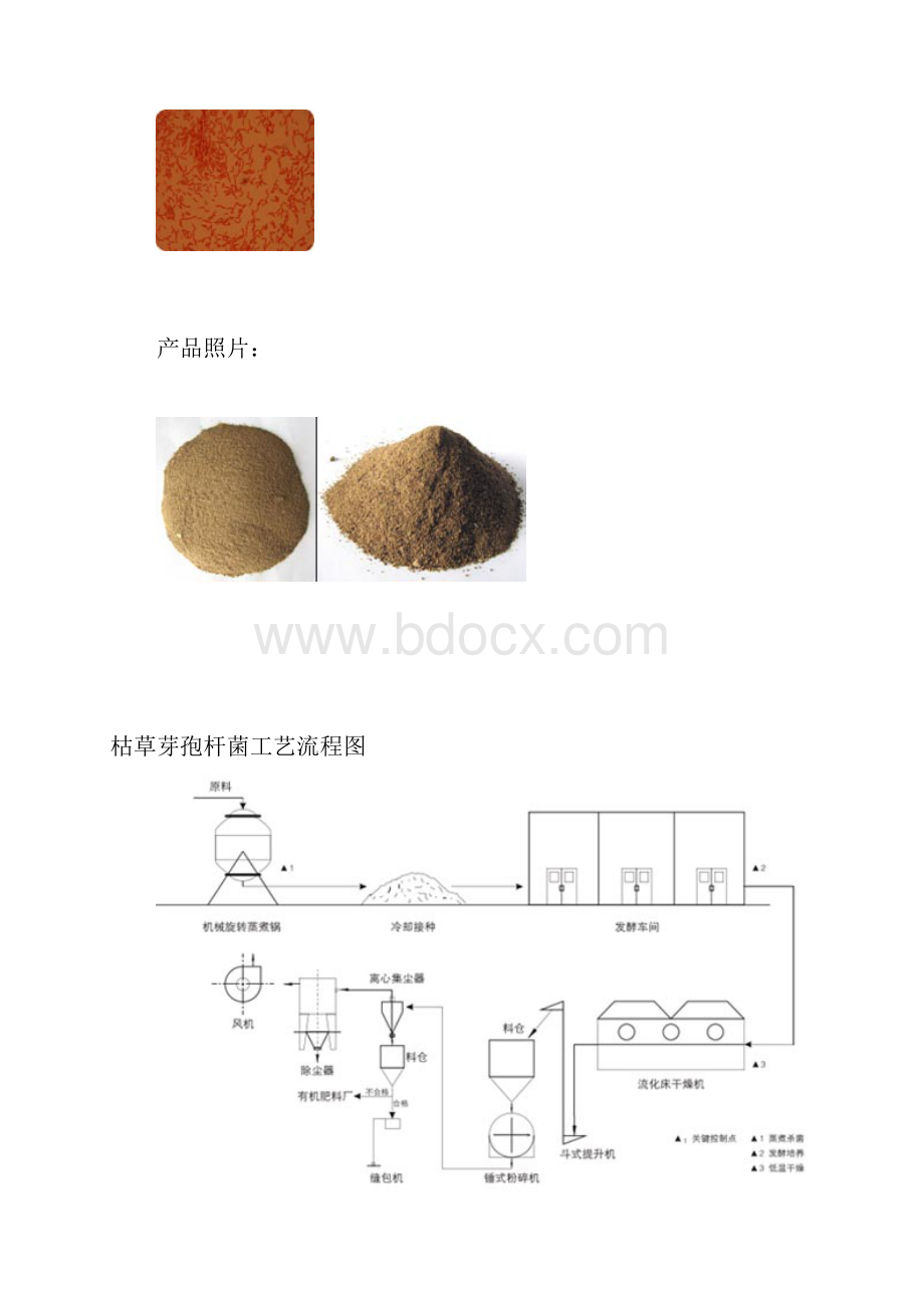 北海群林生物枯草芽孢杆菌产品详细说明.docx_第3页