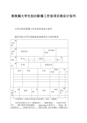 报批稿大学生创办影像工作室项目商业计划书.docx