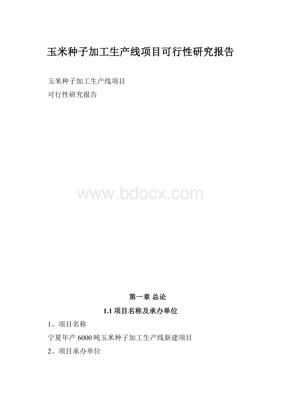 玉米种子加工生产线项目可行性研究报告.docx