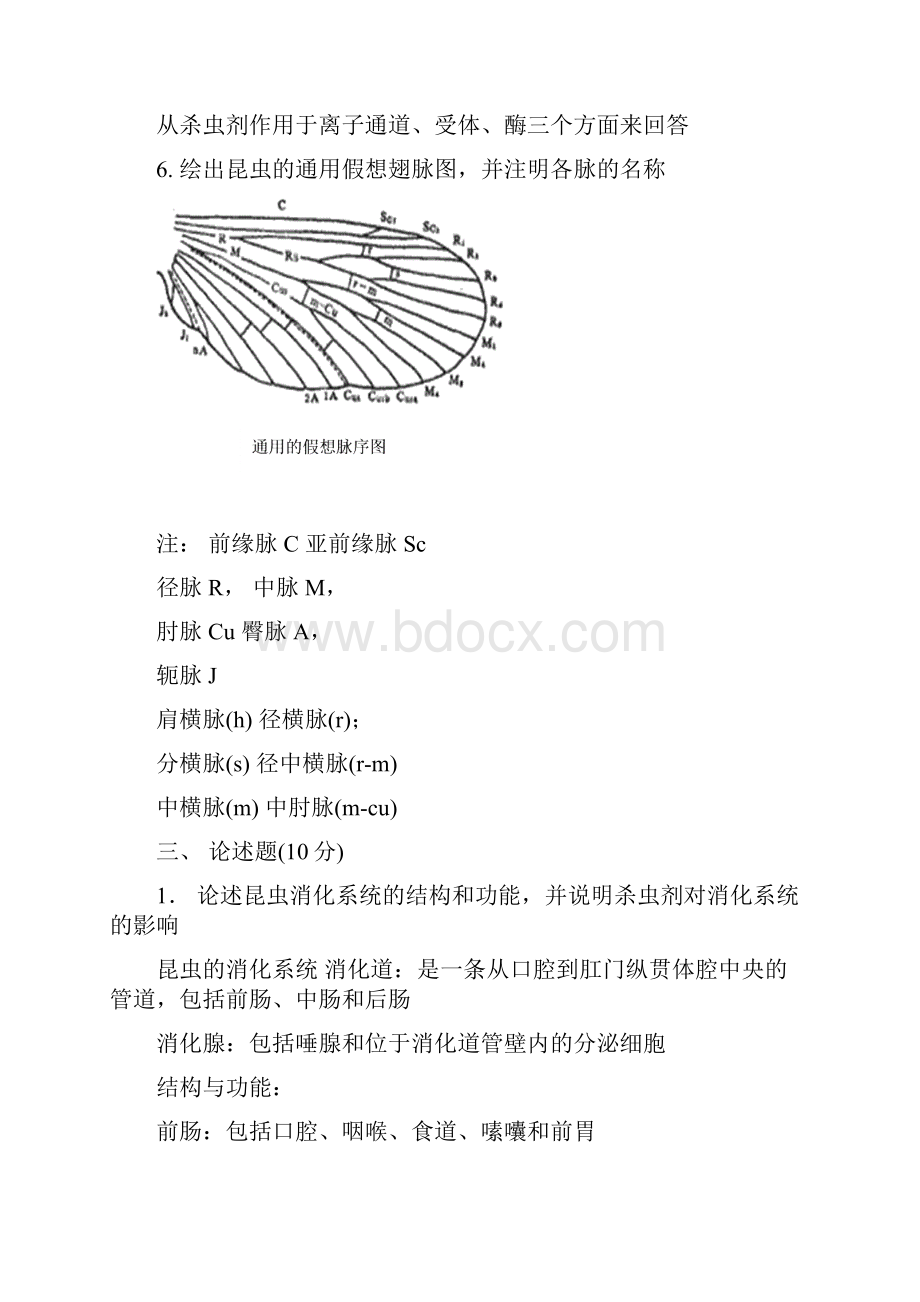 普通昆虫学复习题.docx_第3页