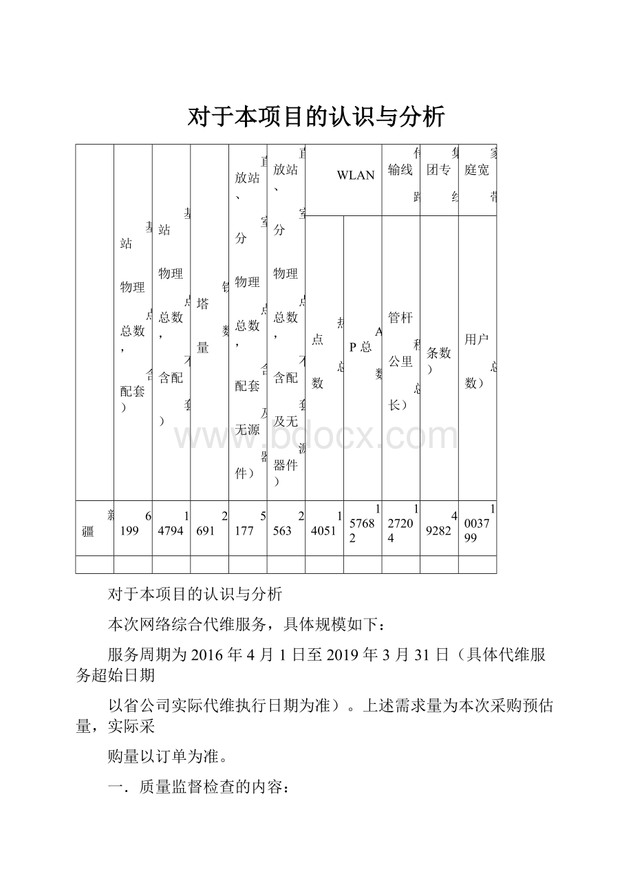 对于本项目的认识与分析.docx