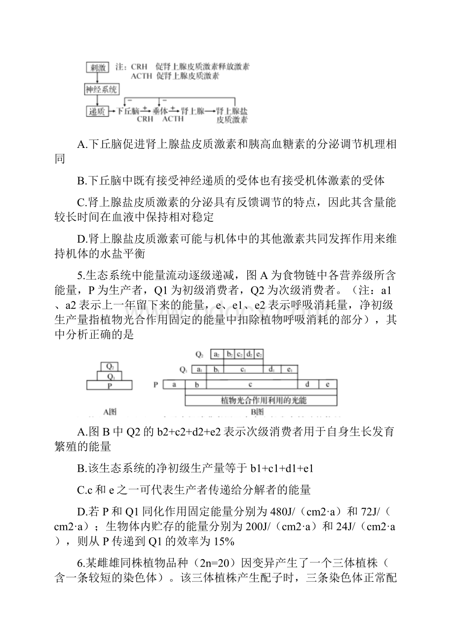 届河南省名校联盟高三联考二理综生物试题.docx_第3页