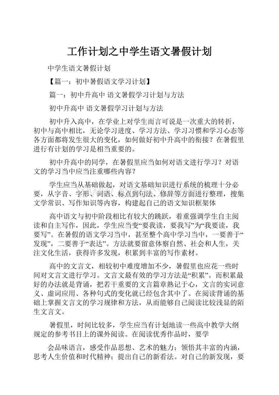 工作计划之中学生语文暑假计划.docx_第1页