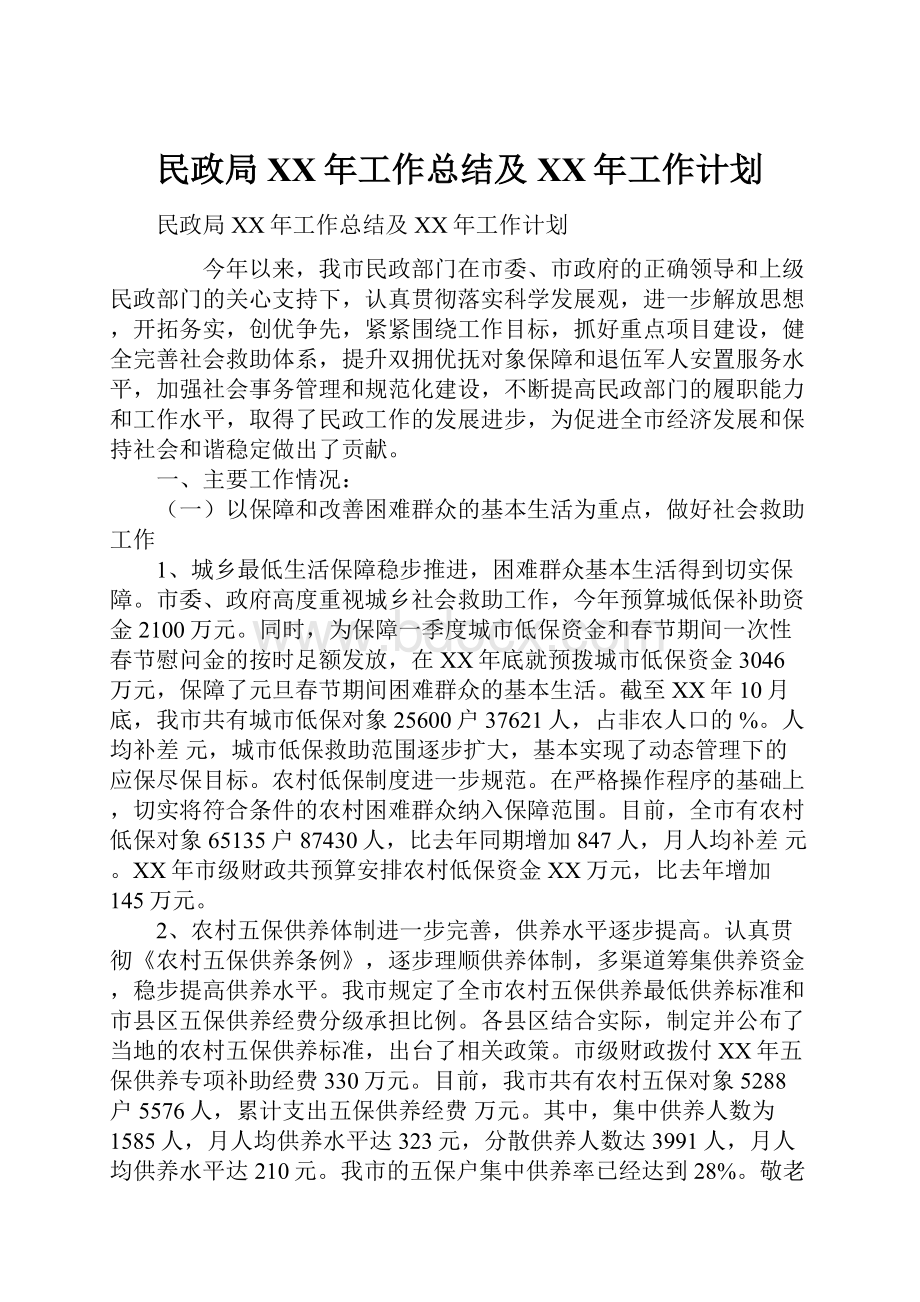 民政局XX年工作总结及XX年工作计划.docx