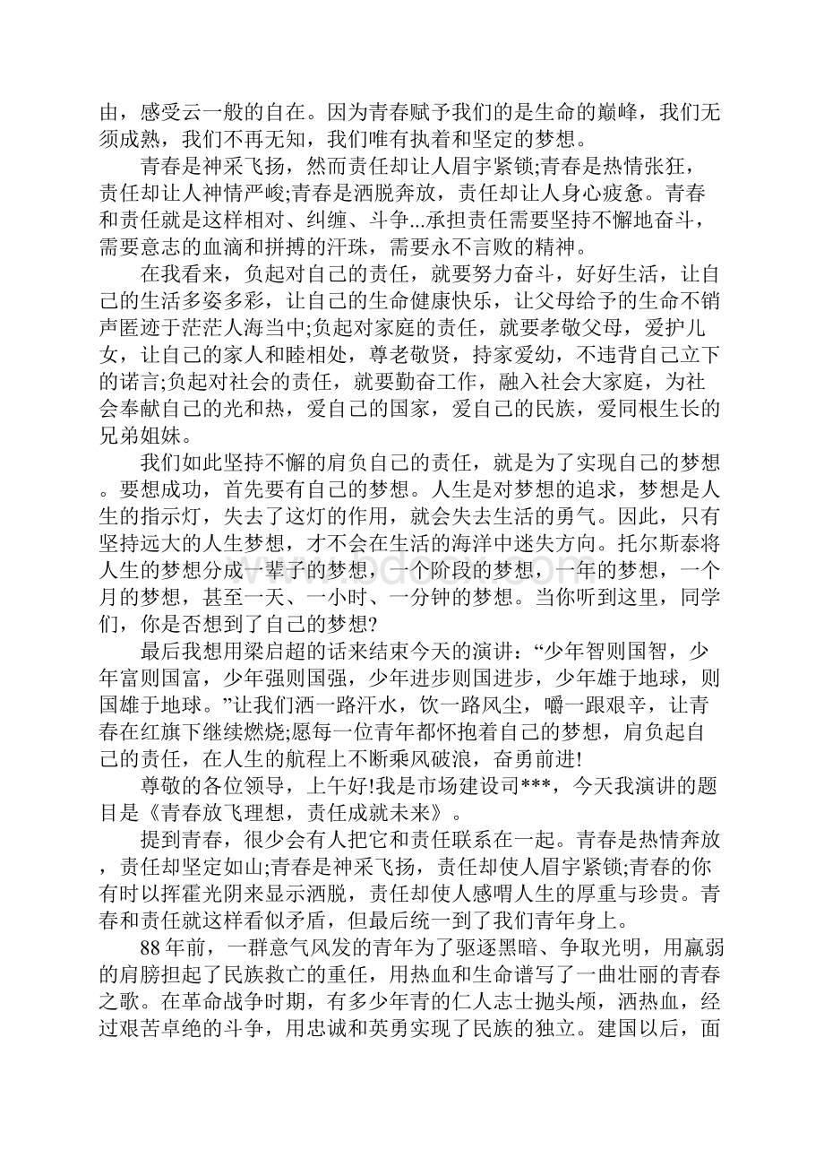 青春理想责任演讲稿.docx_第3页