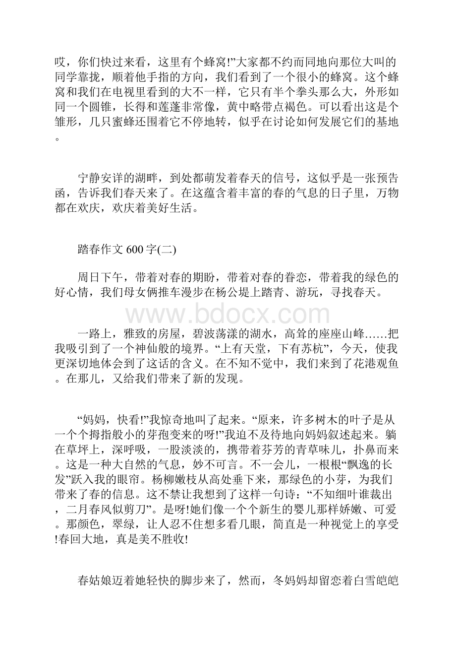 踏春作文600字初中精选.docx_第2页