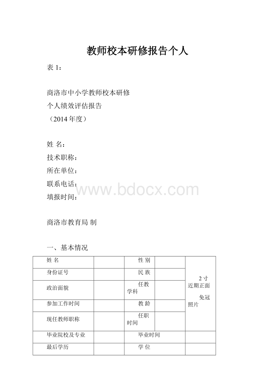 教师校本研修报告个人.docx