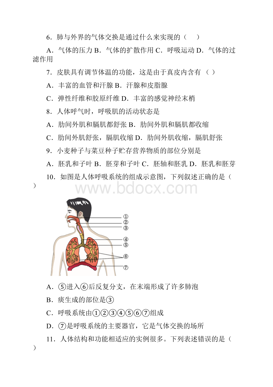 七年级生物下册期中复习知识点.docx_第2页