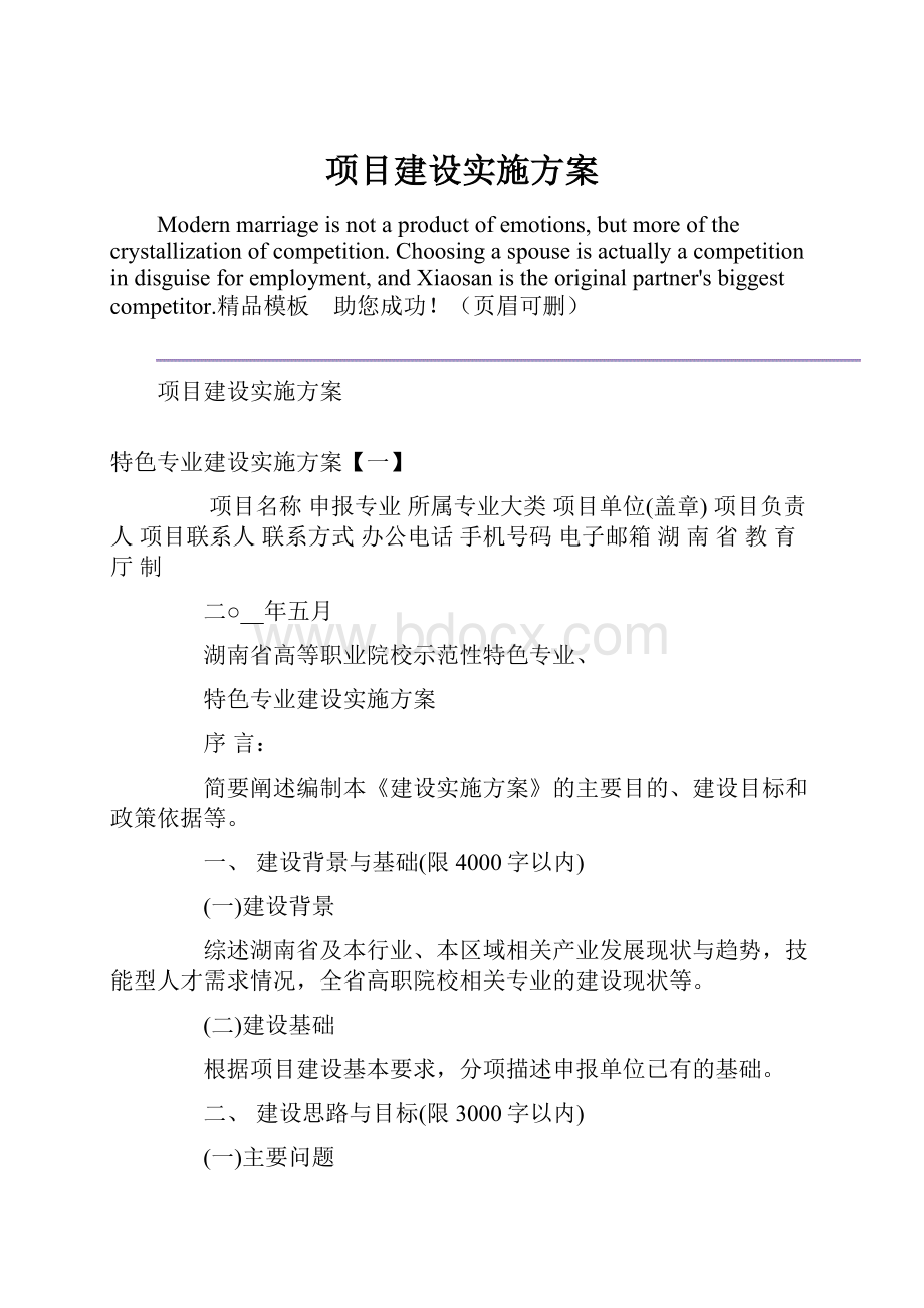 项目建设实施方案.docx