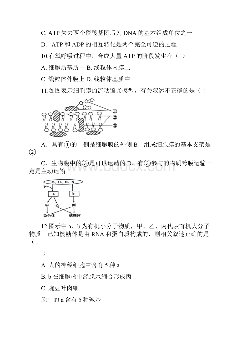 河北省衡水市安平县学年高一生物上学期期末考试试题03121305.docx_第3页