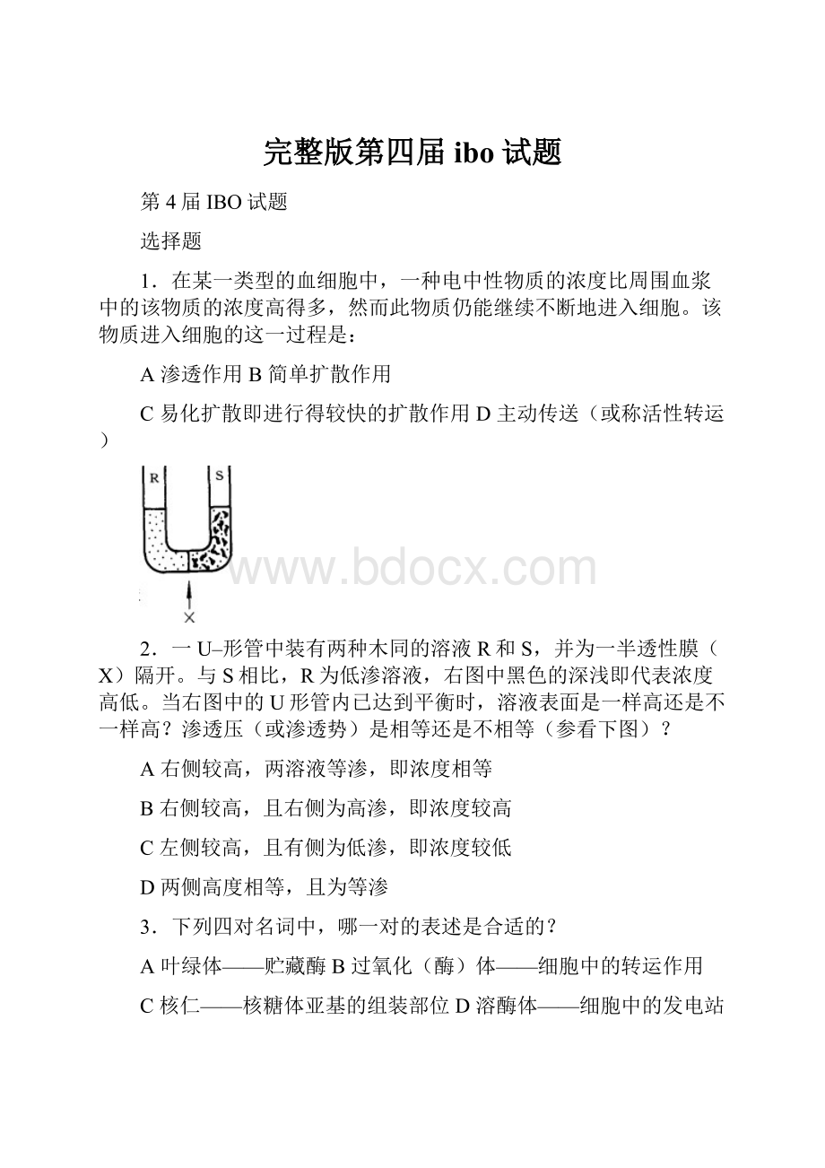 完整版第四届ibo试题.docx_第1页